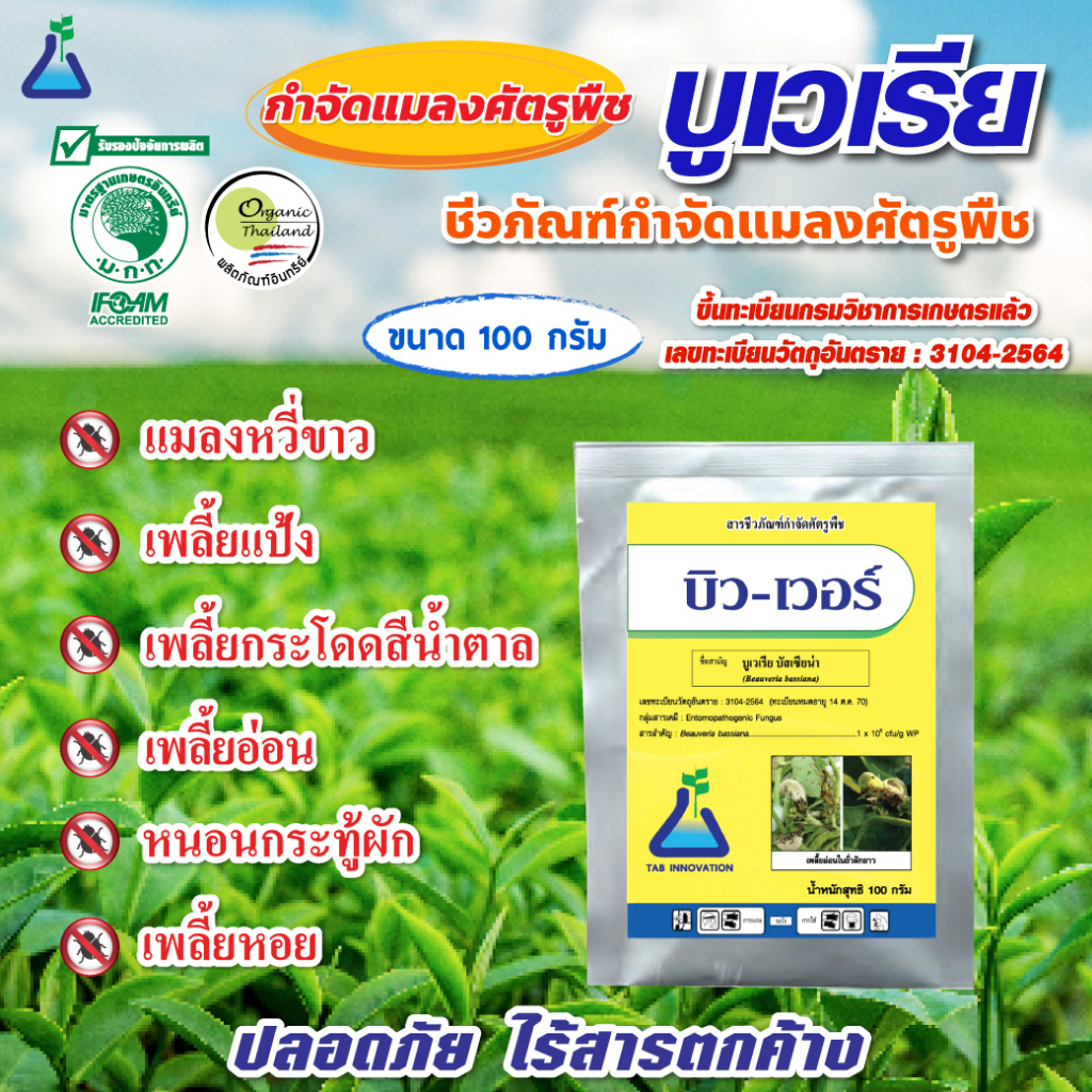 บูเวเรีย บัสเซียน่า (บิว-เวอร์) ขนาด 100 กรัม ชีวภัณฑ์กำจัดแมลง แมลงหวี่ขาว เพลี้ย หนอน