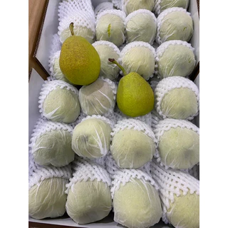 สาลี่หอม แพรหอม 1kg หวานหอม กรอบ อร่อย 🍐🍐🍐