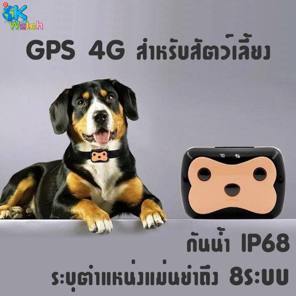 OK Watch อุปกรณ์ติดตามสัตว์ ติดตามไร้สาย PET GPS TRACKER รองรับ 4G