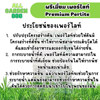 เพอร์ไลท์ เกรดพรีเมี่ยม ขนาด 5ลิตร เพอร์ไลท์ perlite ขนาดเม็ด 4-8มม เพอร์ไลท์ วัสดุปลูก ผสมดิน แคคตัส ไม้อวบน้ำ ไม้ฟอกอ