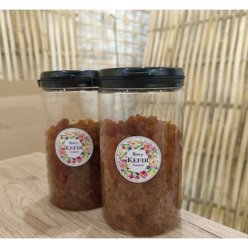 Water Kefir grains 100g premium quality เกรนคีเฟอร์น้ำ