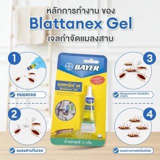 Blattanex Gel เจลกำจัดแมลงสาบ แบลททาเน็กซ์ เจล 12 กรัม