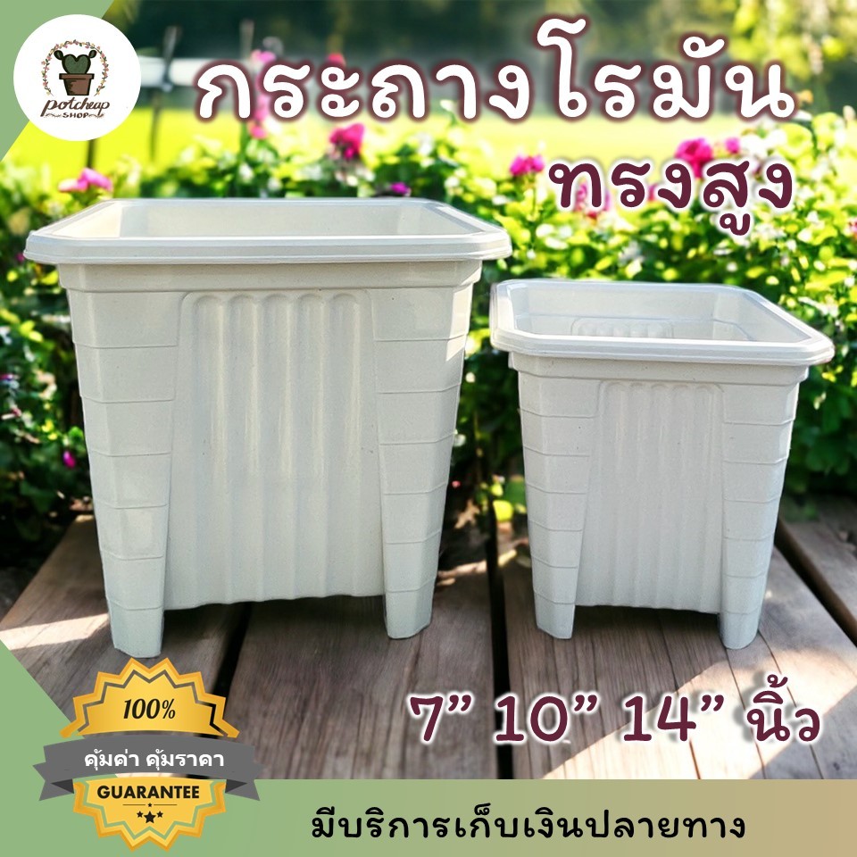 กระถางสี่เหลี่ยมยกสูง 7 10 14 นิ้ว กระถางกุหลาบ กระถางใส่ซุ้มได้ กระทรงโรมันเหลี่ยมทรงสูง กระถางต้นไม้ กระถางโมเดิร์น