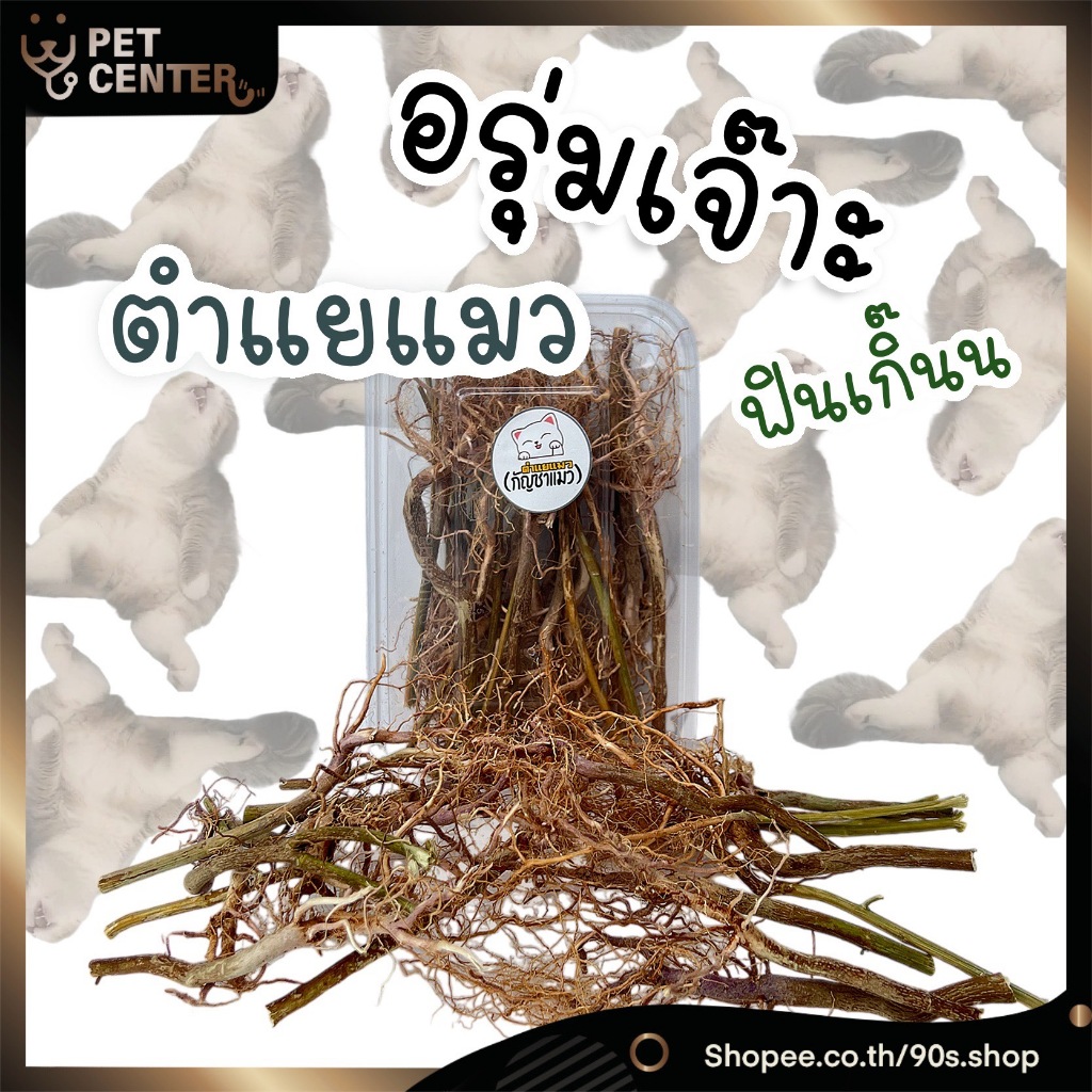Dried Catnip Root - ตำแย รากตำแยแมว ตำแยแมว ตำแยแมวอบแห้ง รากตำแยแมวอบแห้ง แมวไม่อ้อนมาจัดตัวนี้