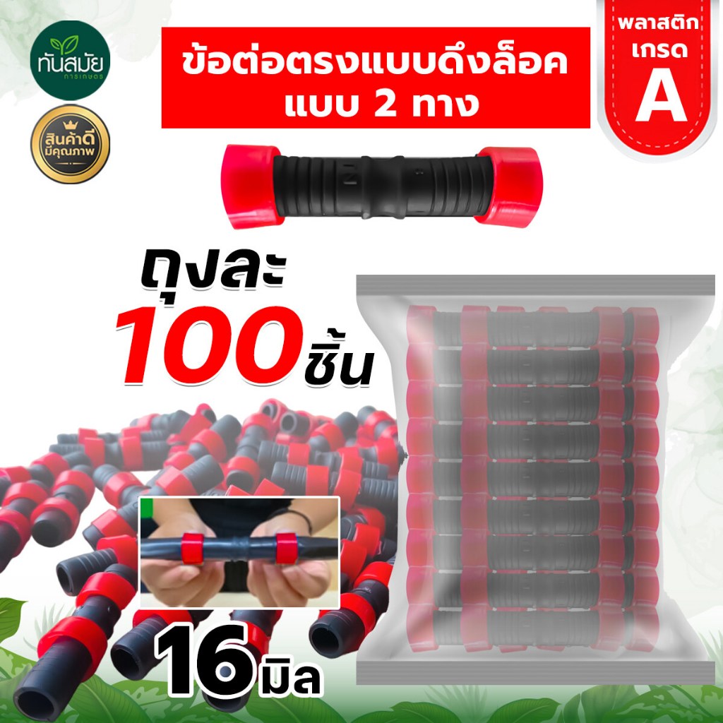 รูปภาพ 6