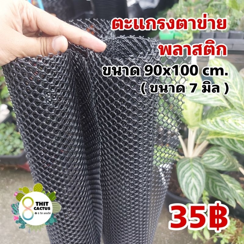 ตาข่ายพลาสติก 5 มิล สีเขียว สีดำ สีเขียว // หน้ากว้าง90cm ตัดแบ่ง100cm -- ตะแกรงพลาสติก รองก้นกระถาง รองดิน แคคตัส