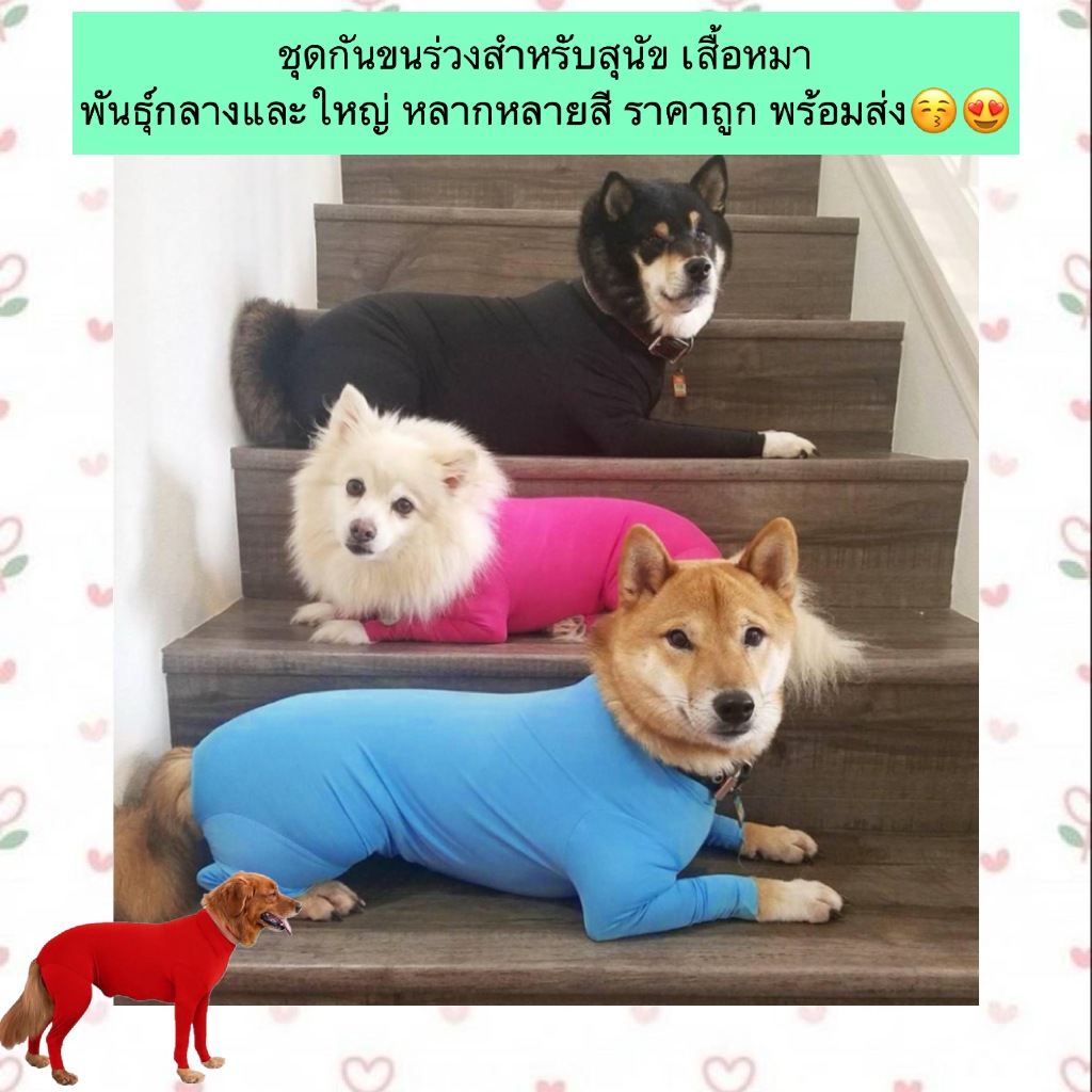 AL-477 ชุดกันขนร่วงสำหรับสุนัข เสื้อหมา พันธุ์​กลางและใหญ่ หลากหลายสี ราคาถูก พร้อมส่ง😚😍