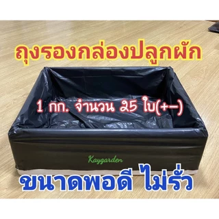 ถุงรองกล่องโฟม ถุงรองกล่องปลูกผัก ขนาดพอดี แบบหนา ไม่รั่ว ชัวร์ชัวร์