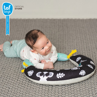 Taf Toys 2 in 1 Tummy-time Pillow うつぶせ練習 クッション 知育ピロー 新生児用品 画像2