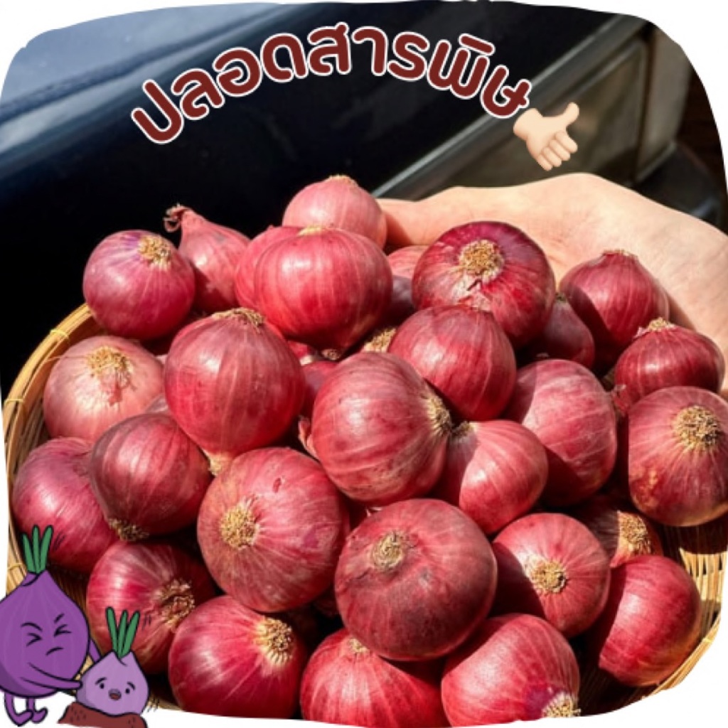 รูปภาพ 2