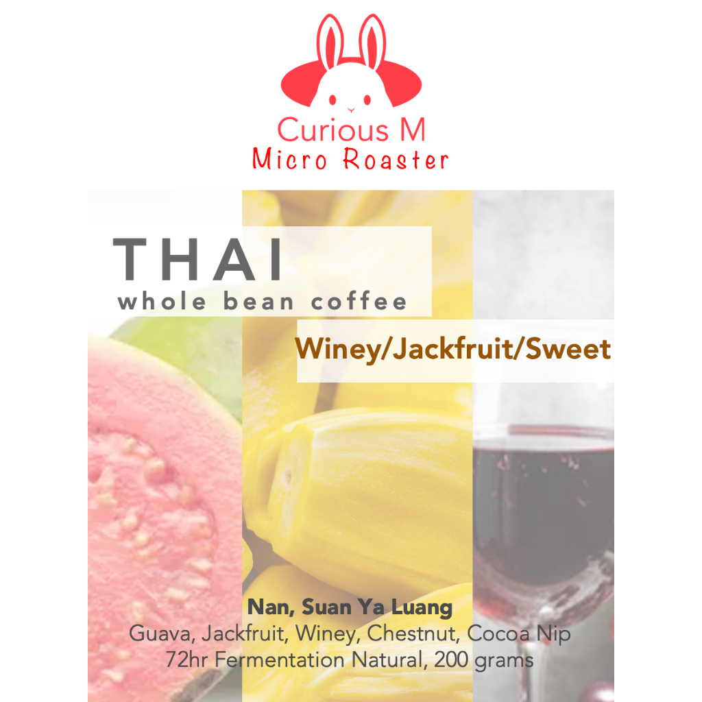 กาแฟคั่วอ่อน-กลาง กาแฟสวนยาหลวง น่าน (Suan Ya Luang, Nan Coffee)