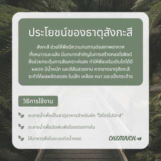 500G/1KG สังกะสีซัลเฟต ธาตุอาหารสังกะสี (สังกะสี ซัลเฟต เฮปตาไฮเดรต,กรดกำมะถันขาว) / Zinc sulfate heptahydrate -Chemrich