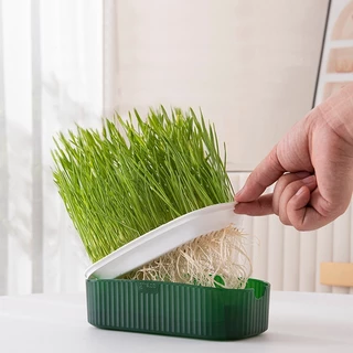 Boqi Factory 🌱ชุดปลูกหญ้าแมว🌱 หญ้าแมวออแกนิก เมล็ดข้าวสาลี ถาดเพาะต้นอ่อน 1 ชุด YC-709