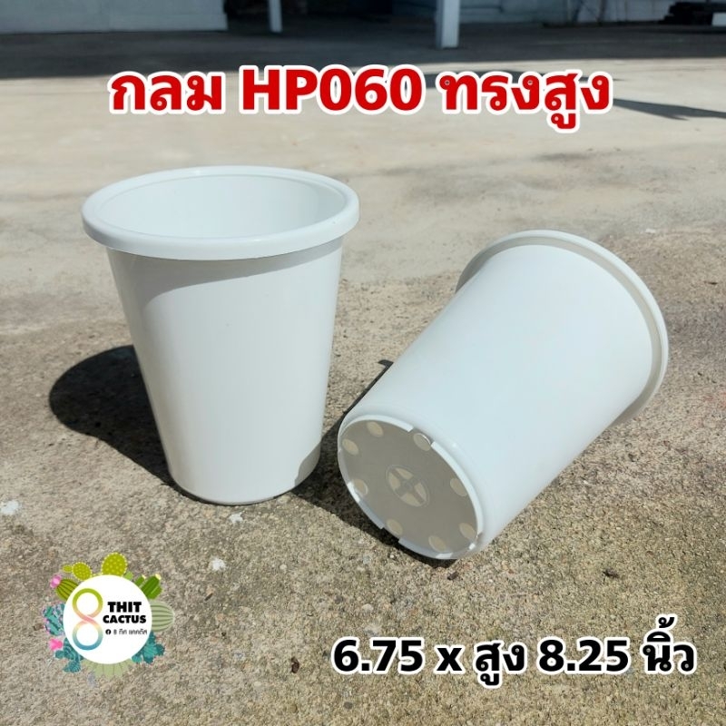 // กระถาง 6 นิ้ว (6.75 นิ้ว)//กลม ขาว//HP060 (ทรงสูง) // พลาสติก ต้นไม้