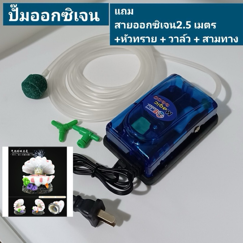 หัวทราย หัวทรายตู้ปลา ตกแต่งตู้ปลา หอยมุก ภูเขาไฟ