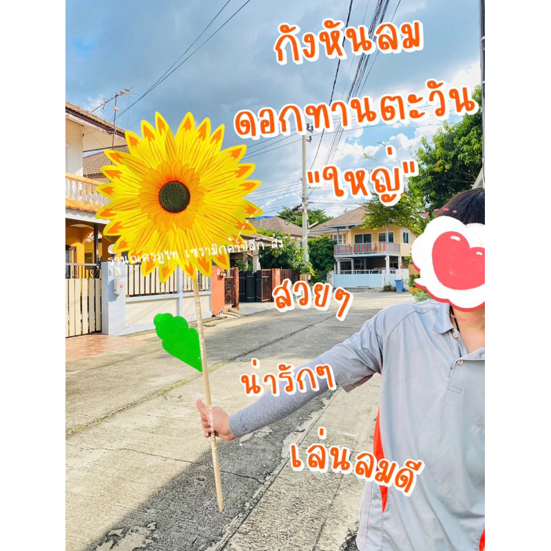 ส่งเร็ว! กังหันลมพร้อมด้าม กังหันแต่งบ้านขนาดใหญ่ กันหันลมดอกทานตะวัน พร้อมส่งในไทย กังหันลมแต่งบ้านและสวน