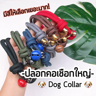 ปลอกคอน้องหมา เชือกใหญ่ 8 มิล สไตล์มินิมอล ใช้งานง่าย ทนทาน