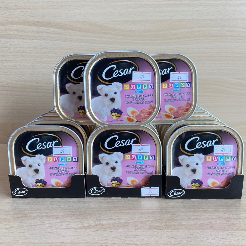 อาหารเปียกสุนัข CESAR PUPPY CHICKEN, EGG & RICE 100 ก.