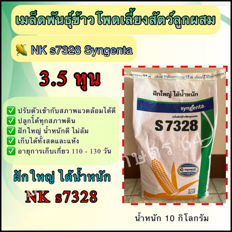 เอ็นเค s7328 ขนาดเม็ด 3.5 หุน ขนาด 10 กิโลกรัม ฝักใหญ่ได้น้ำหนัก