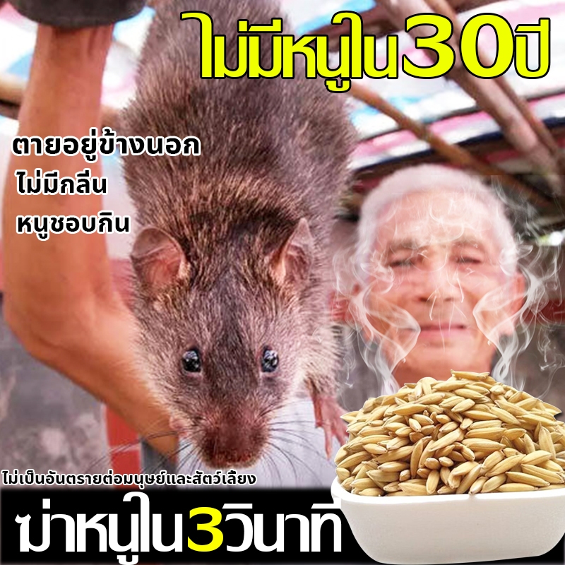 ยาเบื่อหนู ของแท้ 100% ตายแห้ง ไม่เหม็น ใช้ครั้งเดียว ไม่มีหนูทั้งปี ยากำจัดหนู เหยื่อกำจัดหนู ไล่หนู ยาเบื่อหนูแห้ง