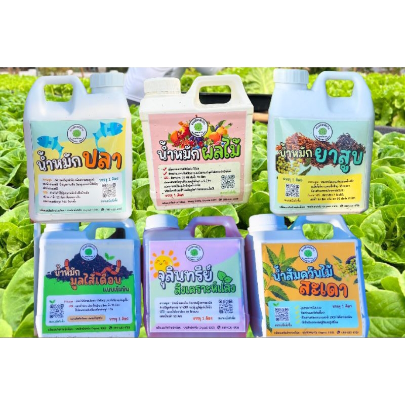 น้ำหมักบำรุงพืชผักสลัด