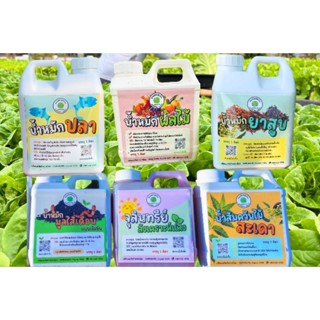 น้ำหมักบำรุงพืชผักสลัด