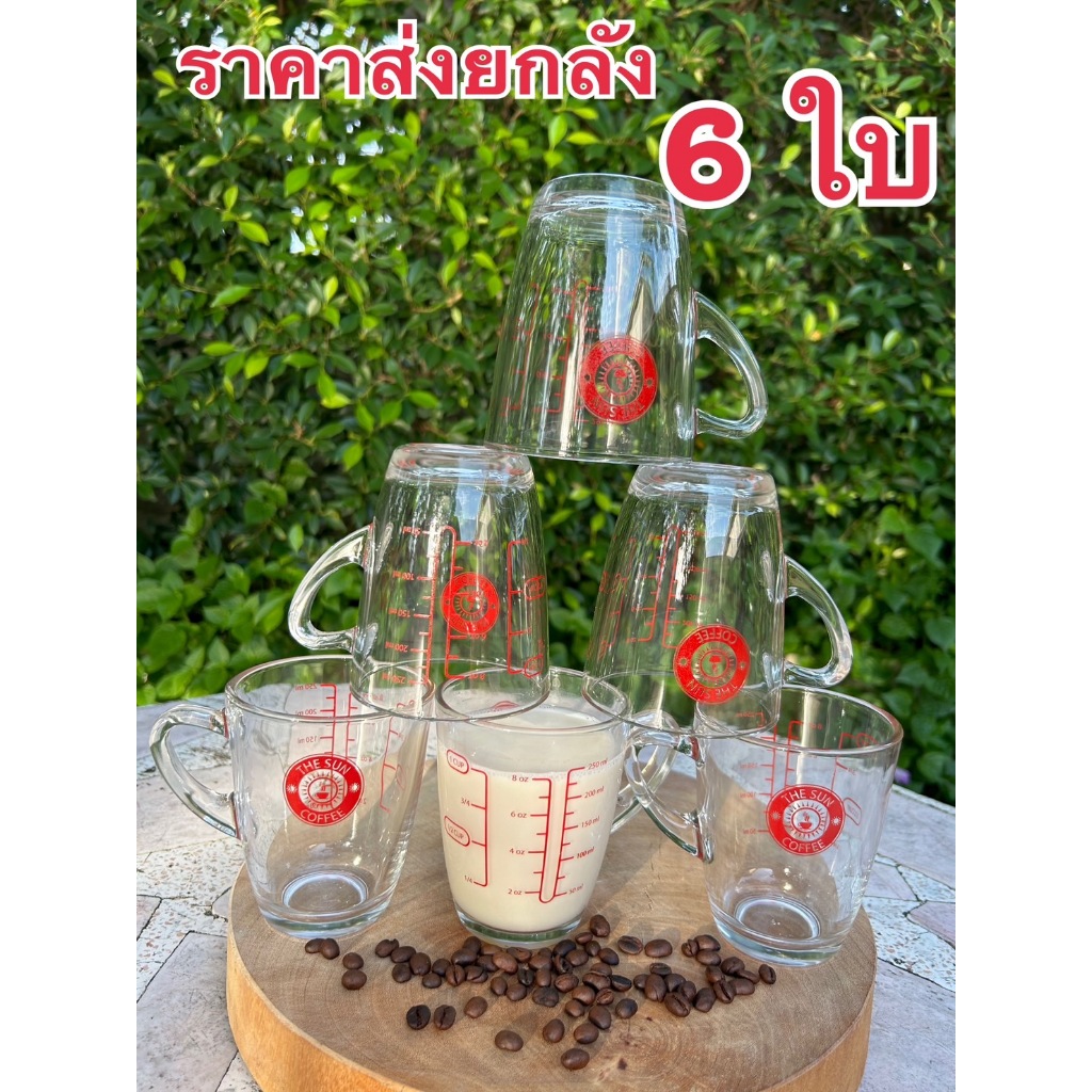 (ราคาส่งยกลัง 6 ใบ)แก้วตวงเดอะซัน คาร์เนชั่น การ์ตูน มีหูจับสเกล 8oz / 250ml /1Cup