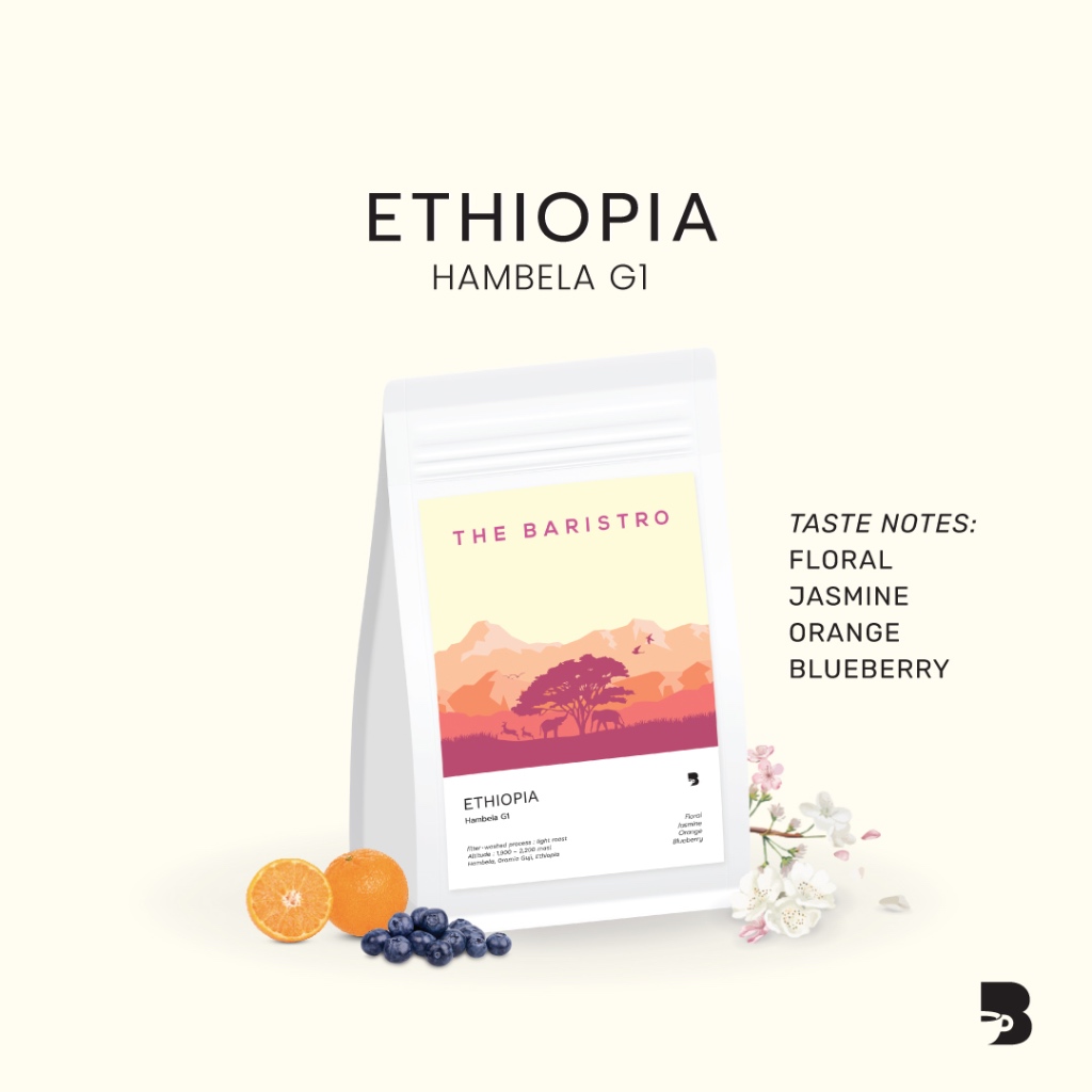 เมล็ดกาแฟ คั่วอ่อน - Ethiopia Hambela G1