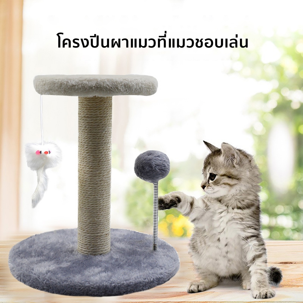 ฝนเล็บแมว คอนโดแมวราคาถูก คอนโดแมว ที่ลับเล็บแมว ที่ฝนเล็บแมว ลับเล็บแมว คอนโดแมวเล็ก ของเล่นแมว ราคา ถูกที่สุด ดีลบีเคเค แกลเลอรีภาพที่ 2