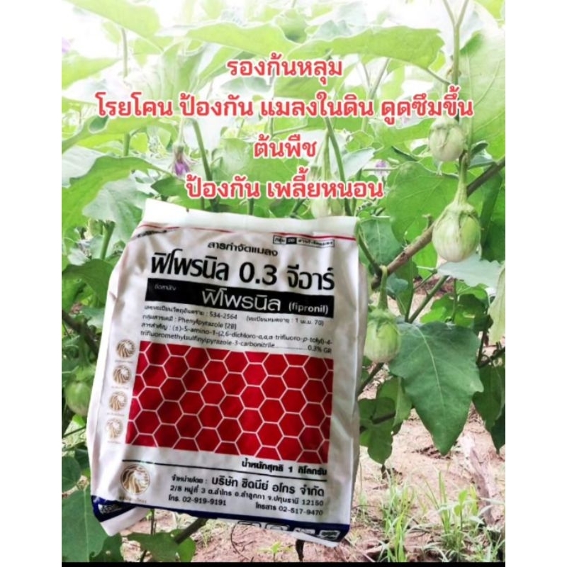 พิโฟนิล.กำจัดแมลง รองก้นหลุม โรยโคน(1กิโล)