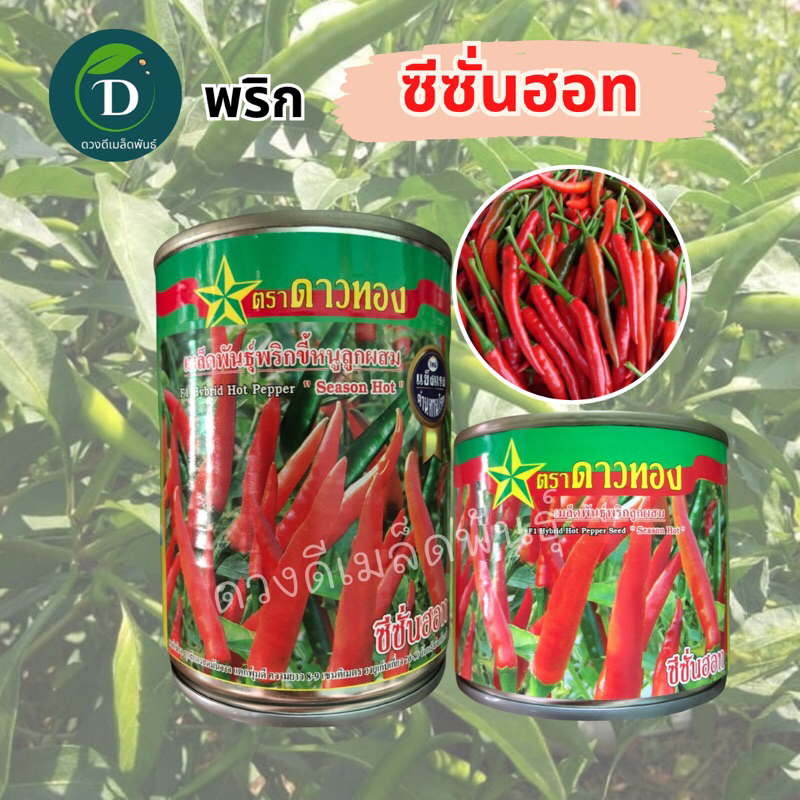 เมล็ดพริกซีซั่นฮอท 20กรัม และ 50กรัม ตราดาวทอง พริกขี้หนู เมล็ดพันธุ์พริกดาวทอง พริกซีซั่นฮอท เมล็ดพันธุ์พริก