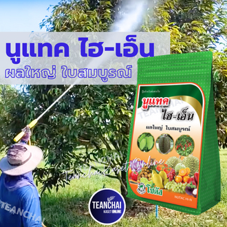 นูแทค ไฮเอ็น_1กก.(สินค้าผลิตใหม่ ของแท้) ไฮเอ็น,การหลุดร่วง,ขยายขนาดผล,สร้างเมล็ด,เร่งดอก,เร่งผล,เนื้อแน่นขยายขนาด