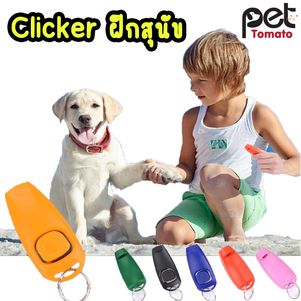 อุปกรณ์ฝึกสุนัข Clicker
