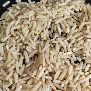 ข้าวกข. 43 ข้าวไม่มีน้ำตาล ไขมันต่ำ แบบกล้อง