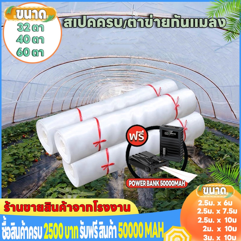 ตาข่ายกันแมลง ขนาด 3x20m/3x30m ตาข่ายขาว 32/40/60 ตา