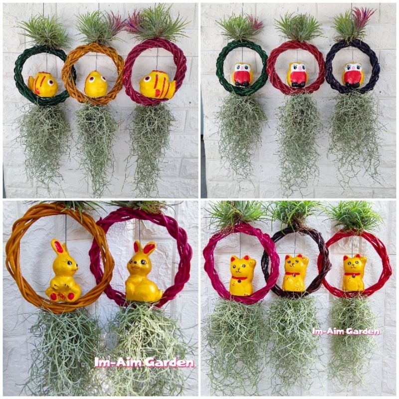เคราฤาษีแต่ง ตุ๊กตาสีทอง((ใส่วงหวาย))