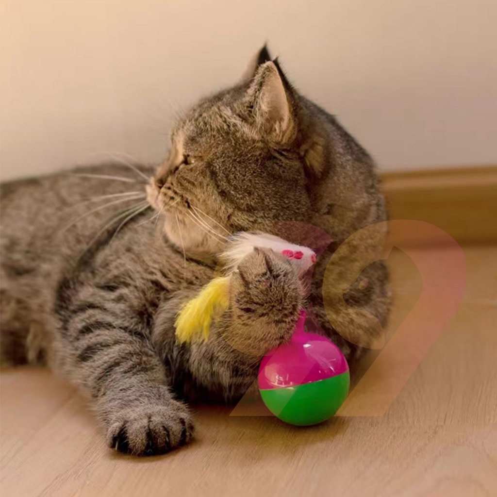 99PET ของเล่นแมว  ลูกบอลล้มลุก หนูล้มลุก ของเล่นหนูปลอม ของเล่นแสนสนุก