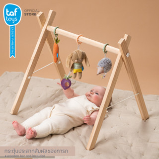 Taf Toys ชุดโมบายเด็ก Activity Toys Kit โมบายเด็ก ของเล่นเสริมพัฒนาการ 0 เดือน ขึ้นไป รูปที่ 3