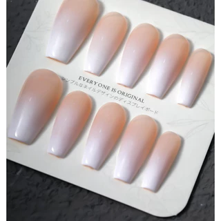 ผงแป้งออมเบย์ขนาด 40 กรัม / เกรียงผสมสี/ ไม้พายผสมสี/ ฟองน้ำไล่สี 50ชิ้น / 20ชิ้นต่อหนึ่งห่อ