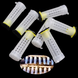 แพ็คละ5ชุด💥หลอดเลี้ยงนางพญา เพาะนางพญา เลี้ยงนางพญาผึ้ง หลอด…