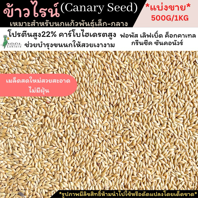พร้อมส่ง!!ข้าวไรน์ Canada Canary Seed อาหารนกแก้ว แบ่งขาย500กรัม และ1 กิโล ทำให้นกขนเงางาม