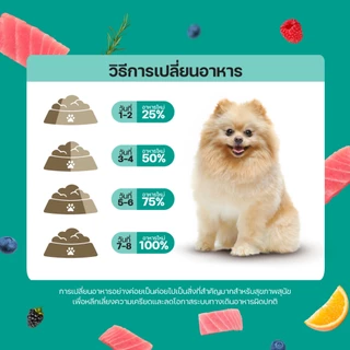 Lifemate Small Breed อาหารเม็ดสุนัขโตพันธุ์เล็ก ขนาด 1 กิโลกรัม (D22)