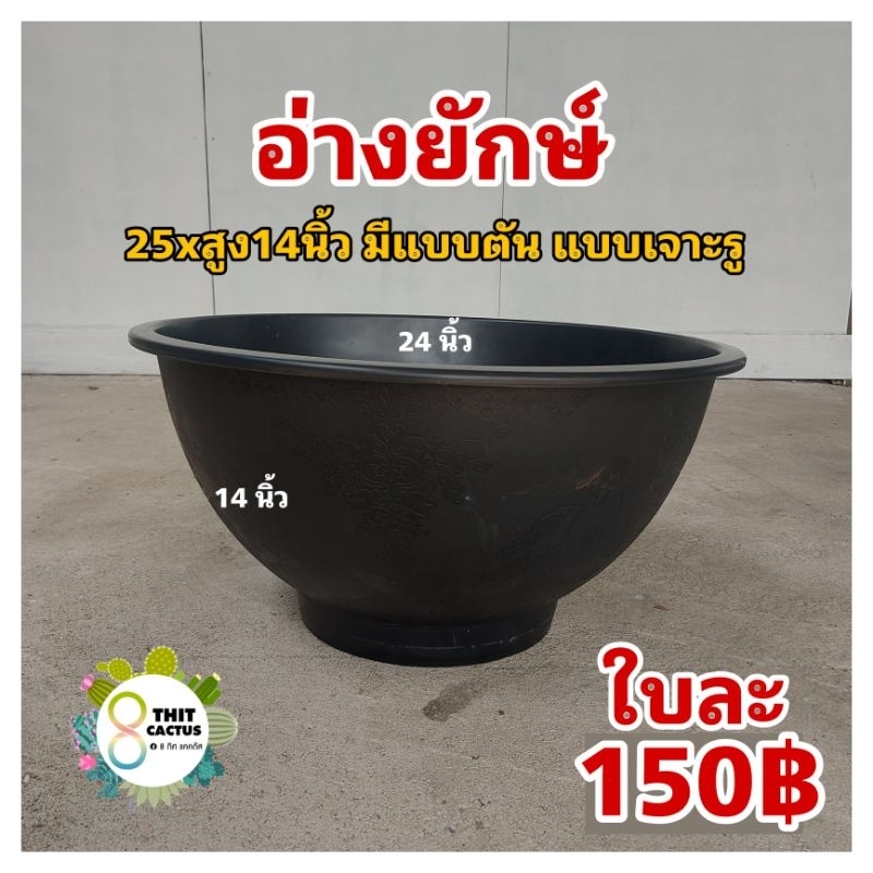 กระถาง ยักษ์ กลม 24 นิ้ว (( เป็นแบบตัน สั่งเจาะได้ )) // อ่างบัว กระถางพลาสติก กระถางเกษตร กระถางใหญ่