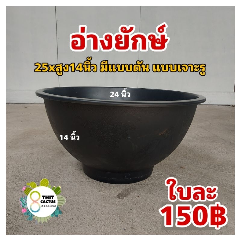 กระถาง ยักษ์ กลม 24 นิ้ว (( เป็นแบบตัน สั่งเจาะได้ )) // อ่างบัว กระถางพลาสติก กระถางเกษตร กระถางใหญ