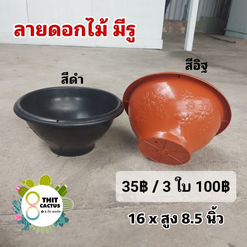 กระถาง ลายดอกไม้ ใหญ่ 16 นิ้ว /มีรู/ ต้นไม้ แคคตัส พลาสติก เกษตร แบบใหญ่