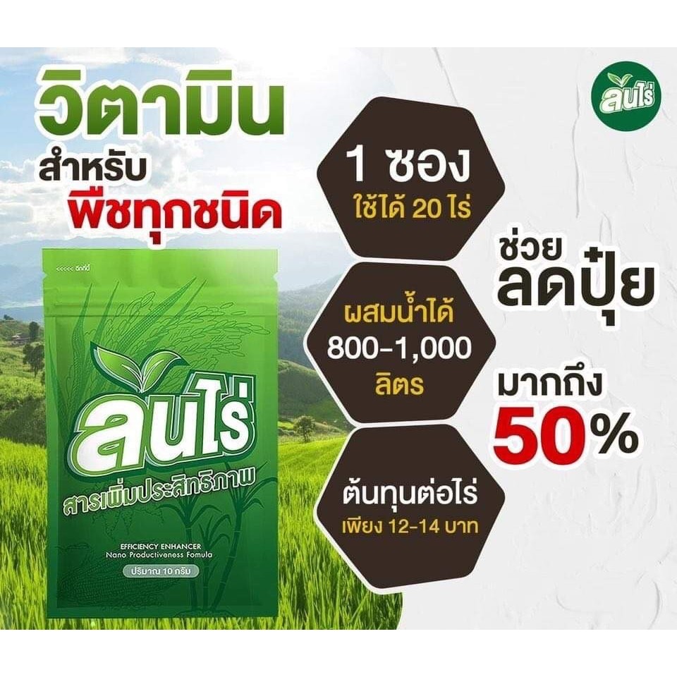 ล้นไร่ 1 ซอง >> ใบเขียว ต้นโตสะสมอาหารดี ของแท้ 100%