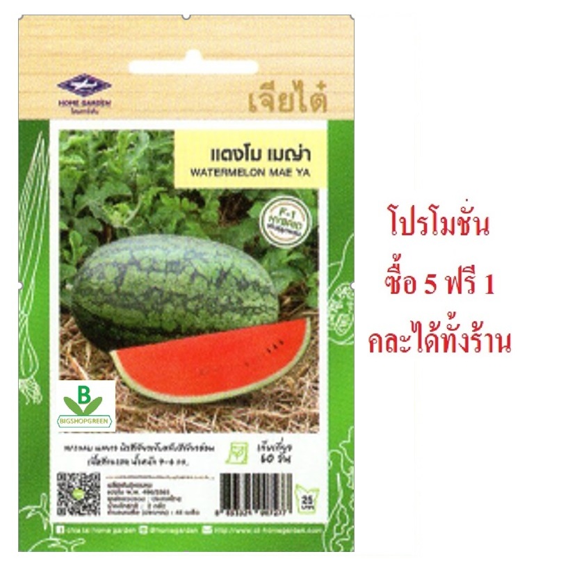5 แถม 1 คละได้ทั้งร้าน เมล็ดพันธุ์ แตงโม เมญ่า เจียไต่ เมล็ดพันธุ์คัดพิเศษ F1 ทรงกล ผลยาว ผิวสีเขียวเข้มสลับเขียวอ่อน