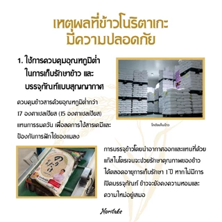 ข้าวกล้องญี่ปุ่น 2 kg (Japanese Brown Rice) ตรา Noritake