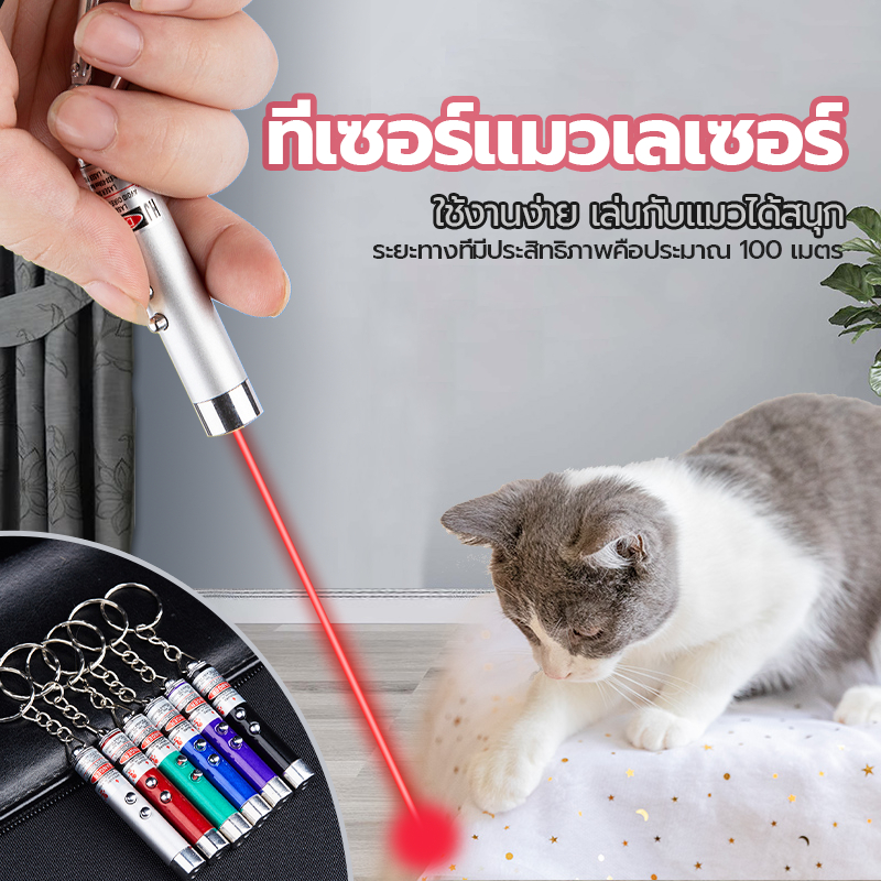 ไฟฉายและเลเซอร์/ไม้ตกแมว ของเล่นแมว เลเซอร์แมว 2in1 ของเล่นที่น้องแมวชอบมาก คละสี ลำแสงชัดส่องได้ไกล
