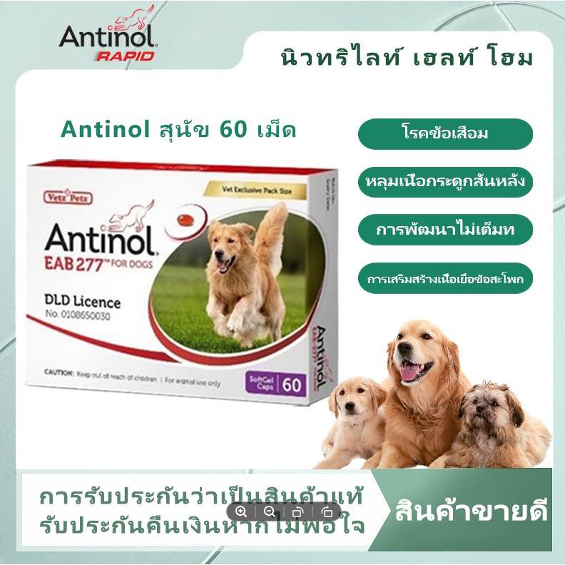 Antinol DOG ช่วยบำรุงข้อ กระดูก ขน ผิวหนัง และไต(1 กล่อง 60 caps) สำหรับสัตว์เลี้ยง EXP.08/2025